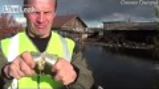 A simple trick to open a tin can with your bare hands and nothing else
